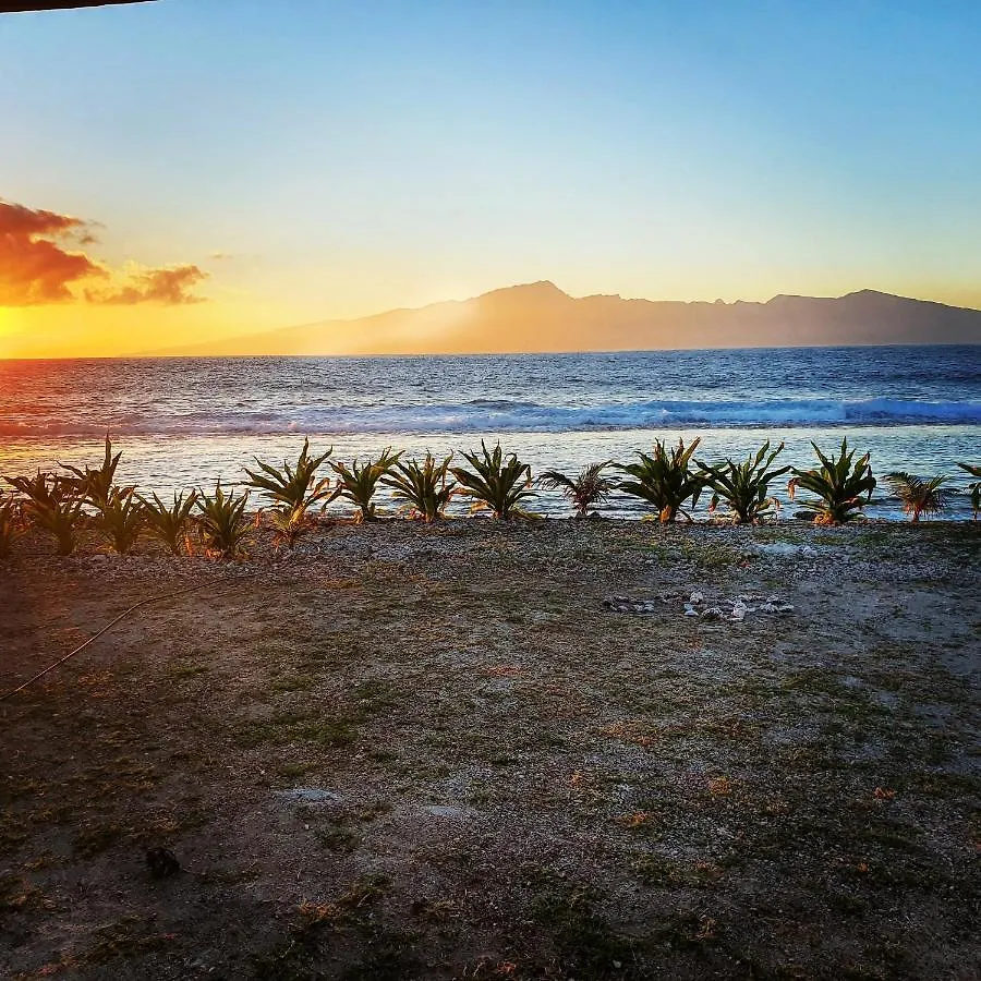 Temae Moorea Lodge Bungalow פולינזיה הצרפתית